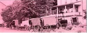 
To arrive at the barn raising site, the amish used horse-drawn buggies.
